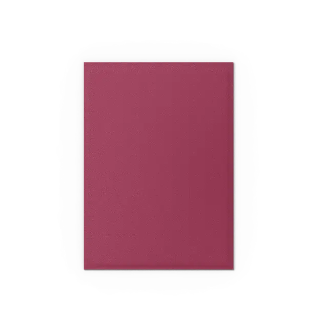 Dragon Shield - Standard Matte Dual Sleeves Pomegranate & Gold (100 Sleeves)