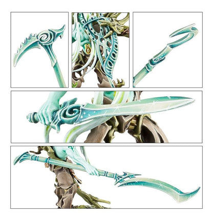 SYLVANETH: TREE-REVENANTS