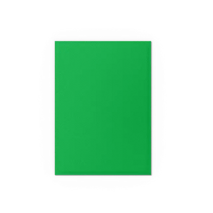 Dragon Shield - Standard size Sleeves - Matte Dual - Apple Green & Silver (100 Sleeves)