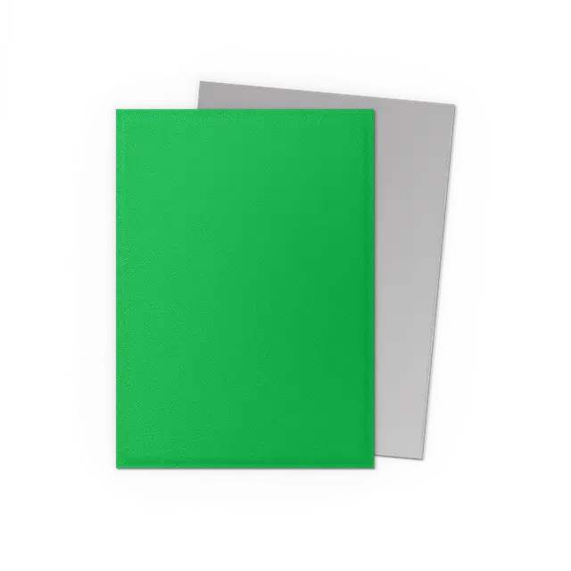 Dragon Shield - Standard size Sleeves - Matte Dual - Apple Green & Silver (100 Sleeves)