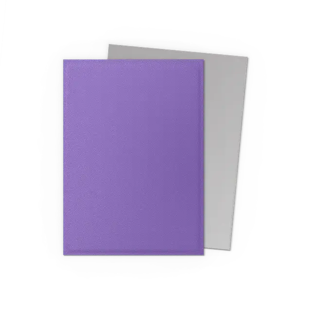 Dragon Shield - Standard size Sleeves - Matte Dual - Nebula & Silver (100 Sleeves)