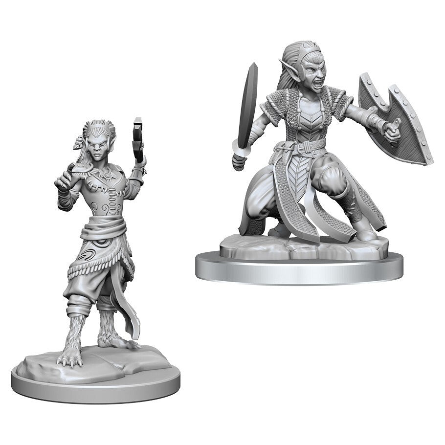 D&D - Nolzur's Marvelous Miniatures: Shifter Fighter