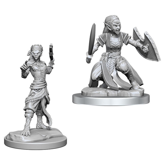 D&D - Nolzur's Marvelous Miniatures: Shifter Fighter