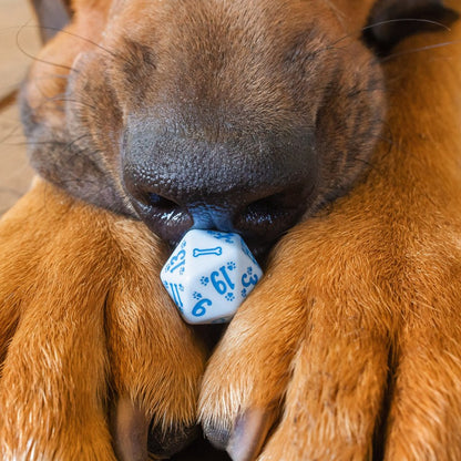 D&D - Dogs Dice Set: Max