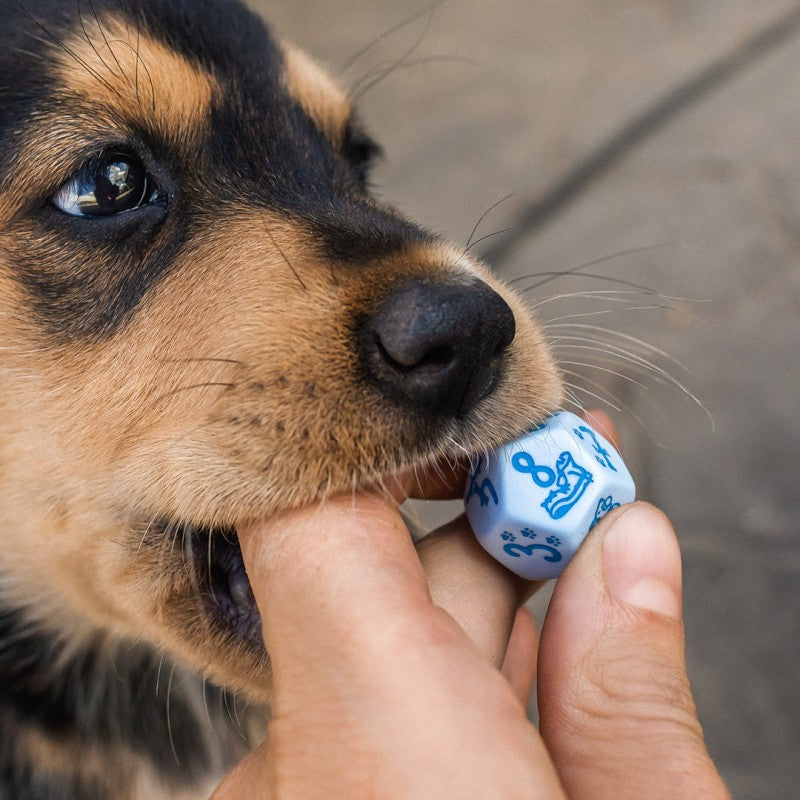 D&D - Dogs Dice Set: Max