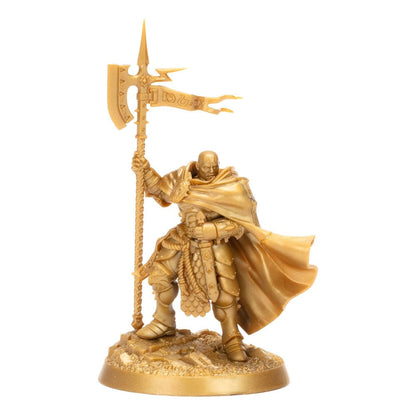 Warhammer Age of Sigmar Miniatures Warhammer Heroes: Stormcast Eternals (Random)