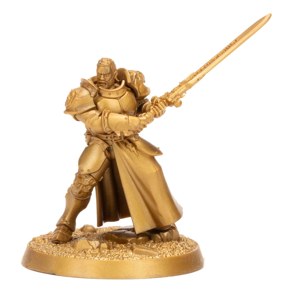 Warhammer Age of Sigmar Miniatures Warhammer Heroes: Stormcast Eternals (Random)